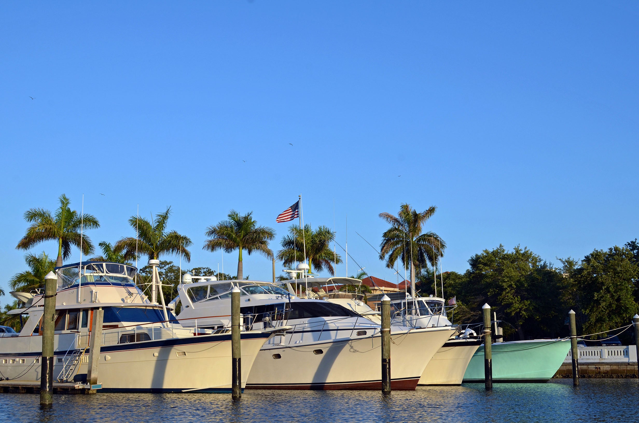 Boats Yachts and Marine Equipment Supplier