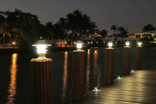 Load image into Gallery viewer, Lake Lite™ Solar Pagoda Lights