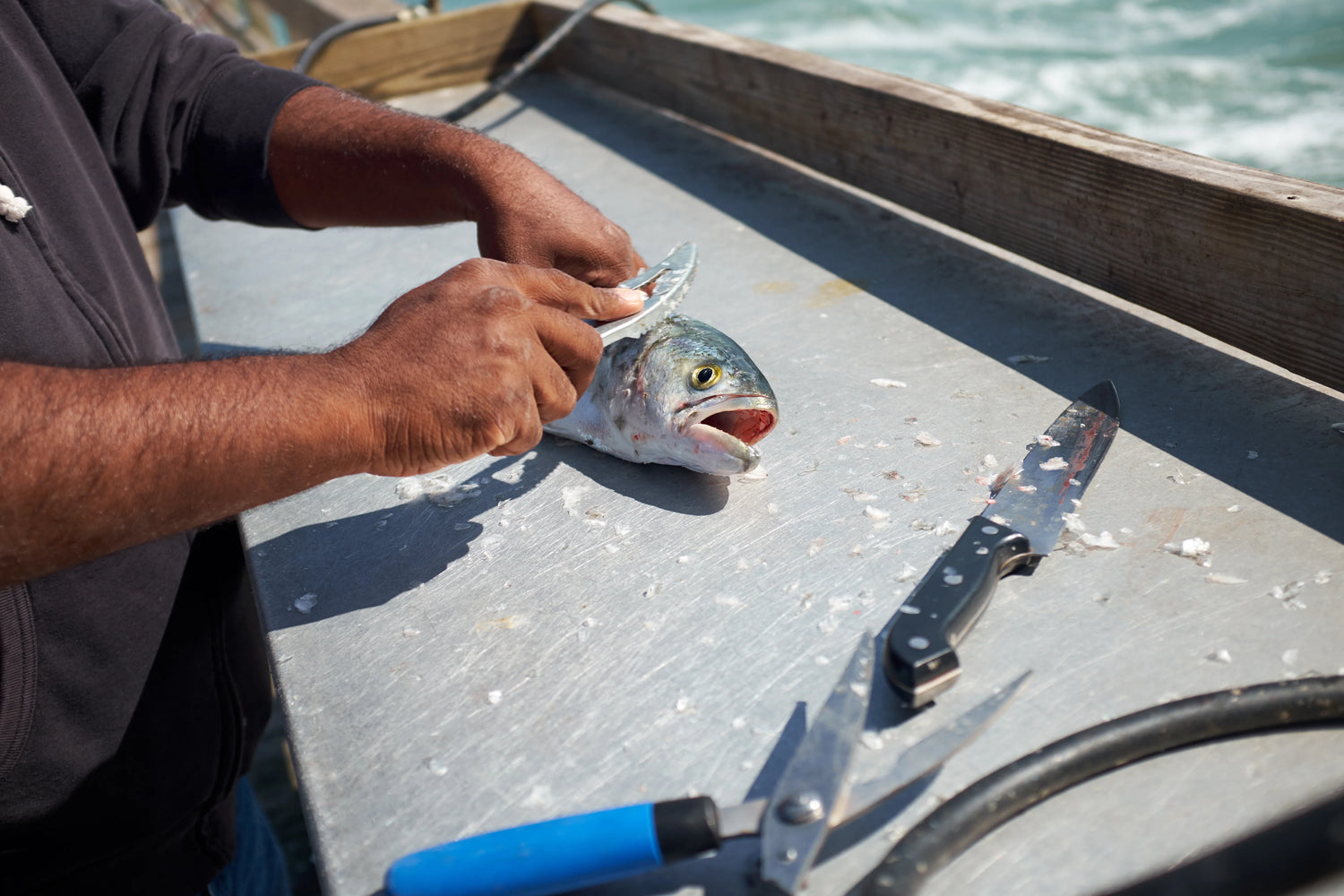 Fish Cleaning Tables