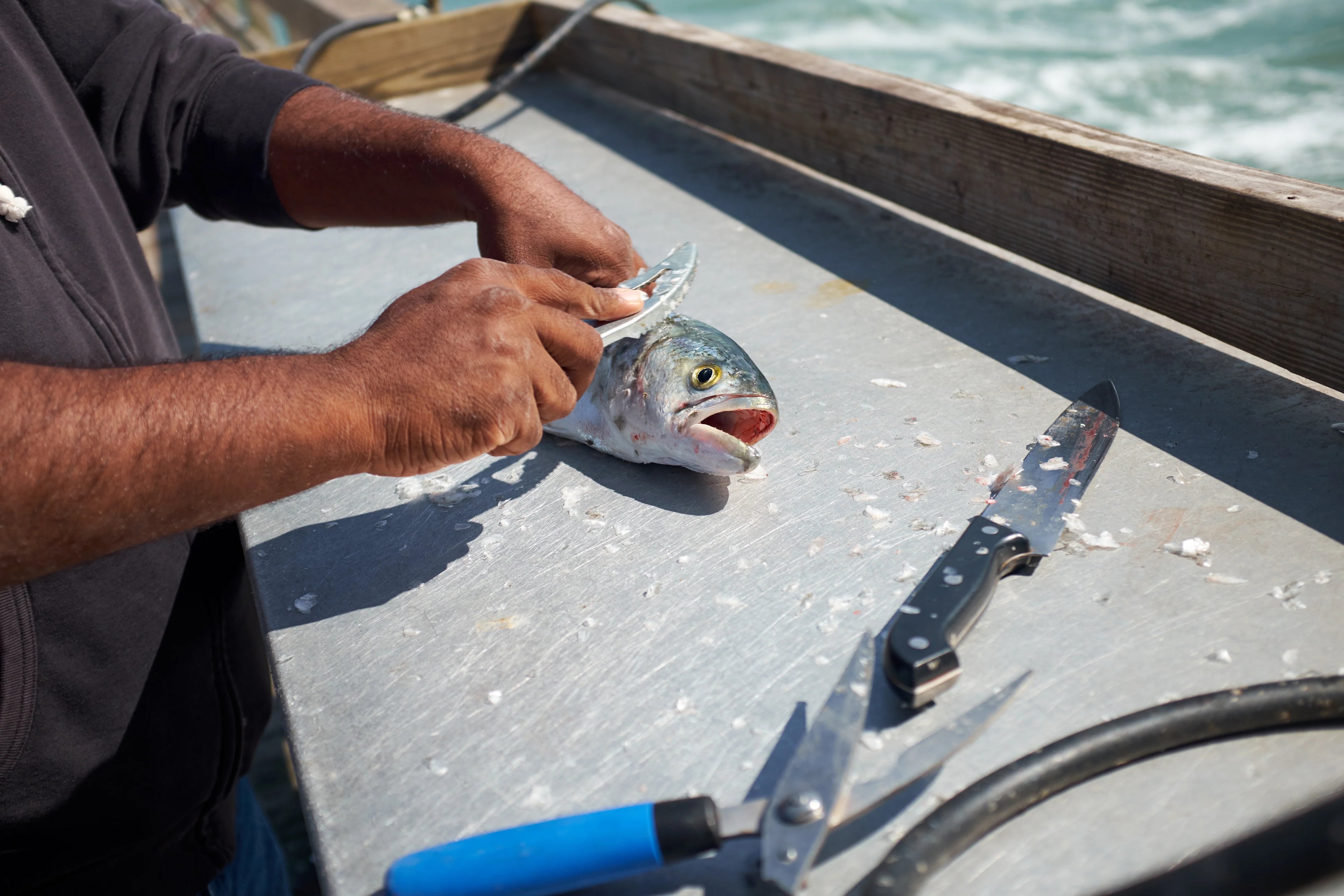 Clearning Fish at a Dock or Pier